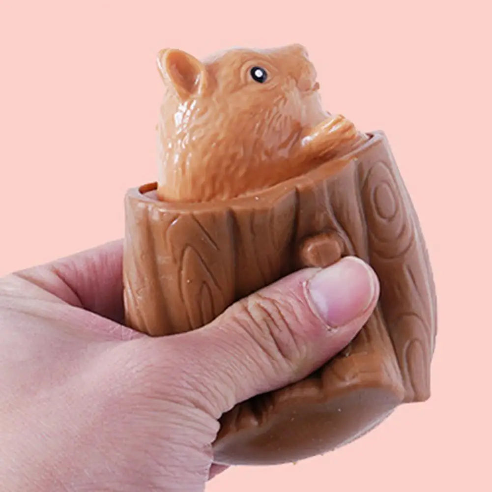 Squishy Pop Up Écureuil