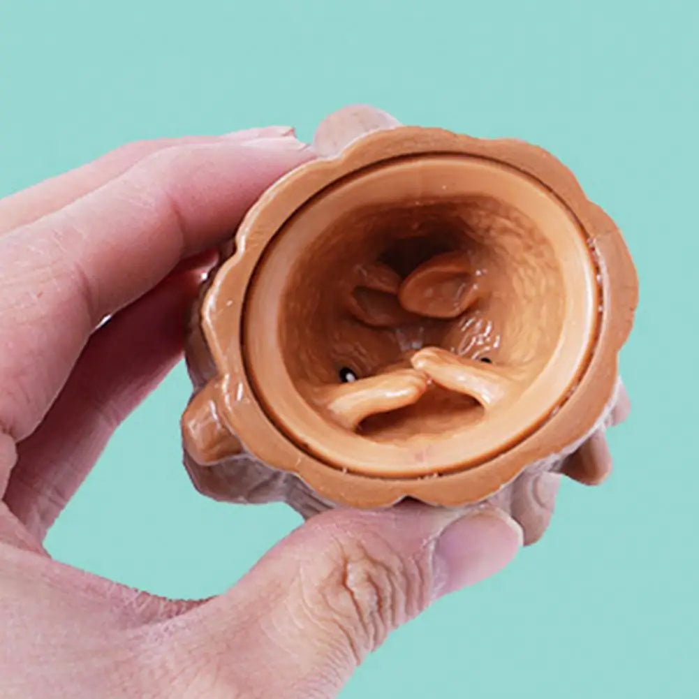 Squishy Pop Up Écureuil