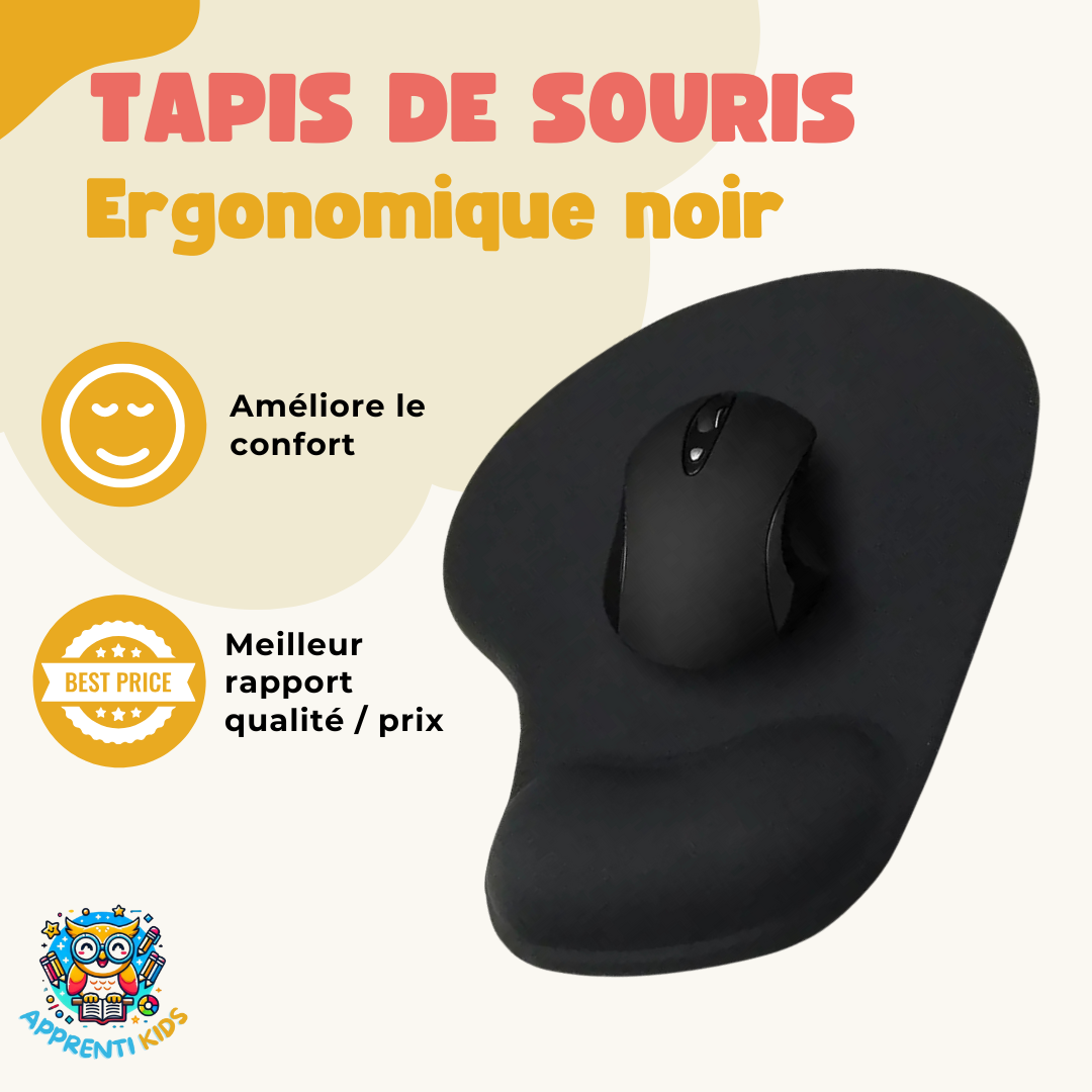 L'Essentiel pour Apprendre l'Ordinateur :  Le Kit Ergonomique pour un Apprentissage Confortable💻